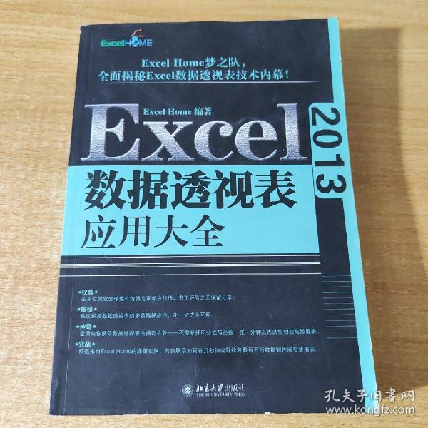 Excel 2013数据透视表应用大全