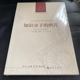 人文与社会译丛：知识分子的鸦片