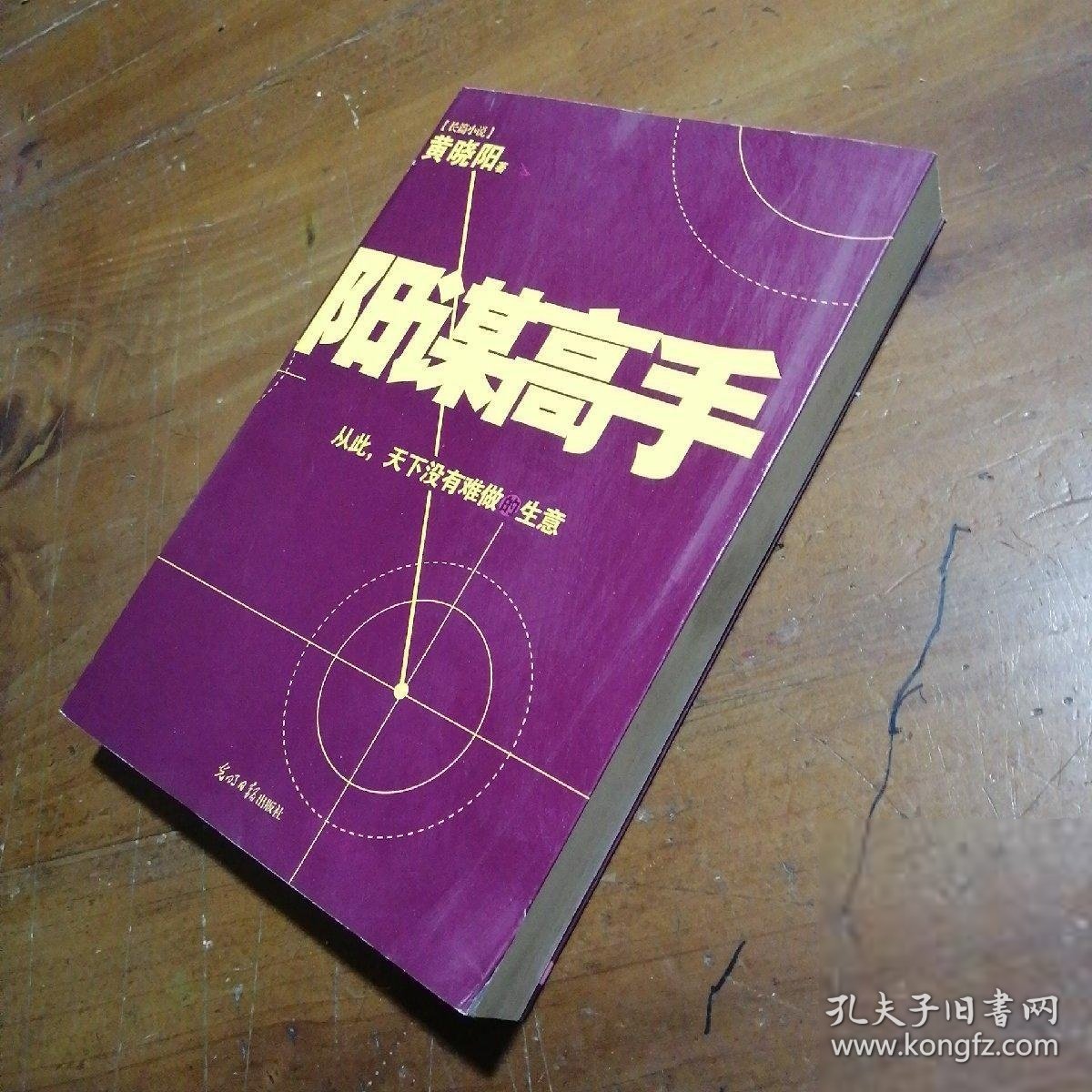 阳谋高手黄晓阳  著光明日报出版社