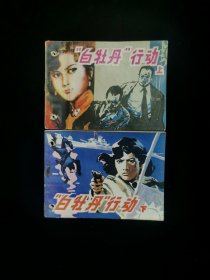 白牡丹行动 上下一套