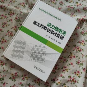 电力废弃物资源化及无害应用技术丛书 动力锂电池梯次利用与回收处理