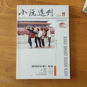 小说选刊2013年11