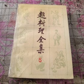 赵树理全集5