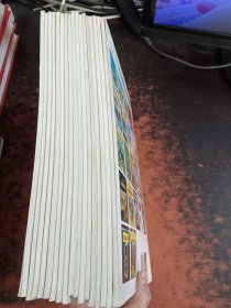 丁丁历险记埃尔热（17本合售）