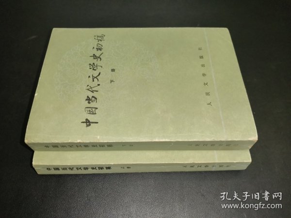中国当代文学史初稿 上下