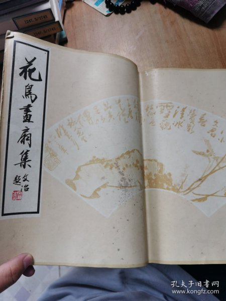 花鸟画扇集