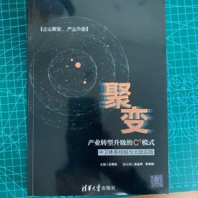 聚变：产业转型升级的C3模式——中卫体系经验与大陆实践