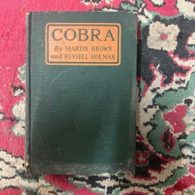 COBRA   眼镜蛇