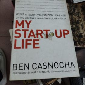青年CEO通往硅谷之路 My Start-Up Life