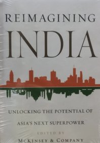 英文原版 印度的潜力 Reimagining India: unlocking the potential of Asia's next superpower