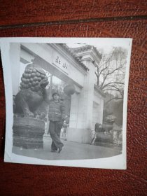 81年老照片，男生北山公园正门前大狮子留影照一张，