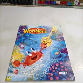 Wonders  unit3