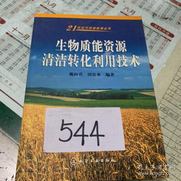 生物质能资源清洁转化利用技术/21世纪可持续能源丛书