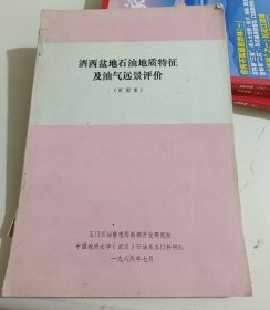 酒西盆地石油地质特征及油气远景评价