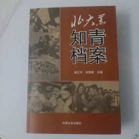 北大荒知青档案（全面真实地记录了怀着革命理想主义和青春激情的一代知青火热而充满英雄主义的历史。）