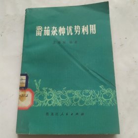 番茄杂种优势利用