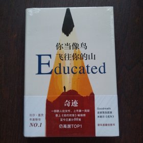 你当像鸟飞往你的山
