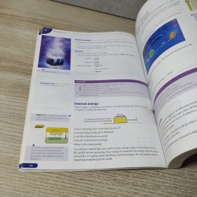 Pearson Baccalaureate: Standard Level Physics for the IB Diploma (英语)