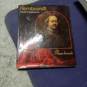 Rembrandt Trewin Copplestone 伦勃朗特雷温铜币油画册