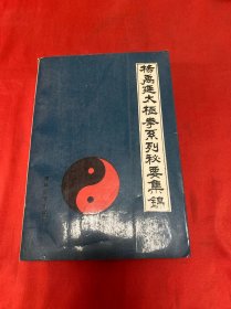 杨禹延太极拳系列秘要集锦