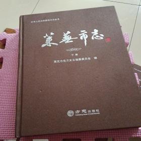 莱芜市志（上中下）全三册