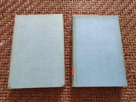 Technical Aspects of Sound (声学的技术方面)(全二卷)(目录见图)