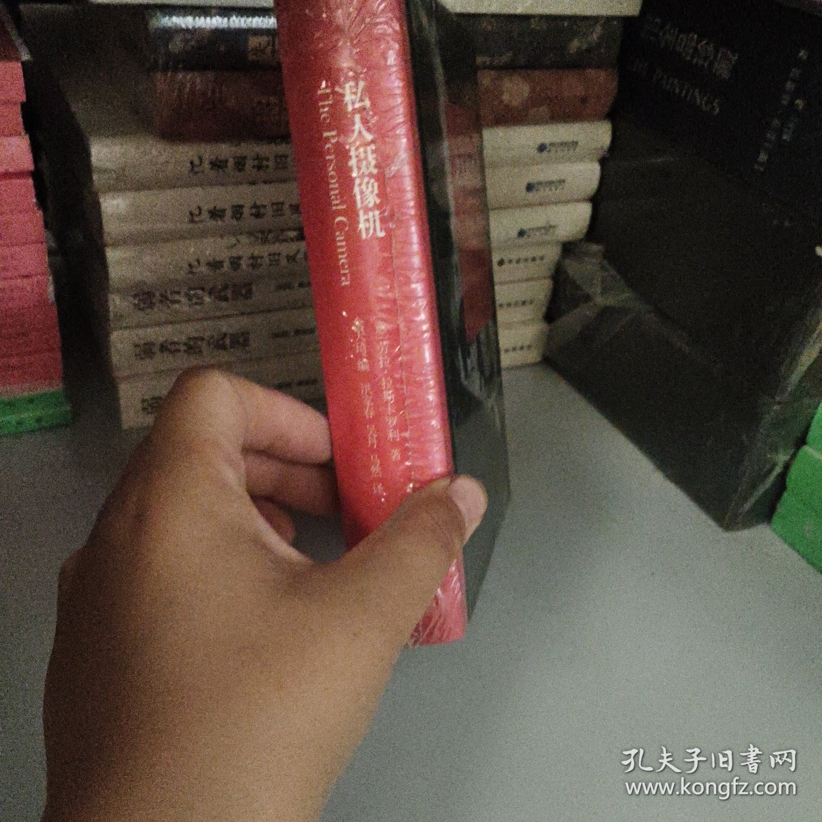 私人摄像机：主观电影和散文影片