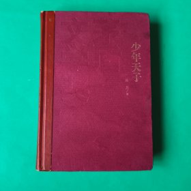 茅盾文学奖获奖作品全集：少年天子（精装本）