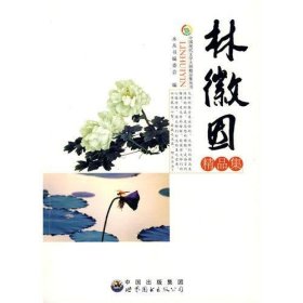 中国现代文学大师精品集丛书--林徽因精品集