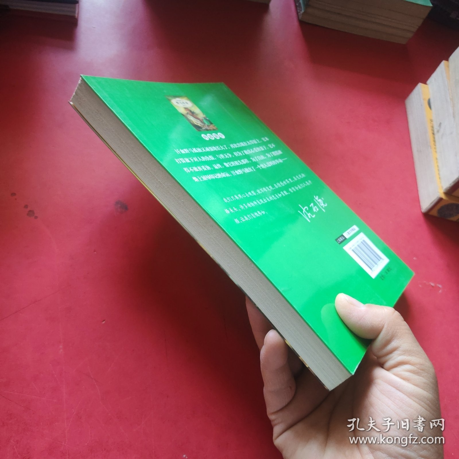 中外动物小说精品：野马传奇