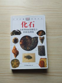 化石：全世界500多种化石的彩色图鉴