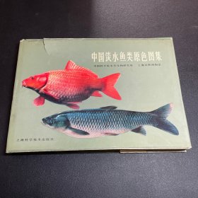 中国淡水鱼类原色图集第一集