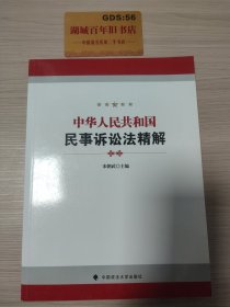 中华人民共和国民事诉讼法精解