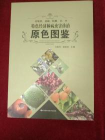 皮胎果、花椒、核桃、杏、枣特色经济林病虫害诊治原色图鉴