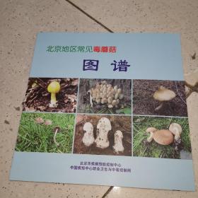 北京地区常见毒蘑菇图谱