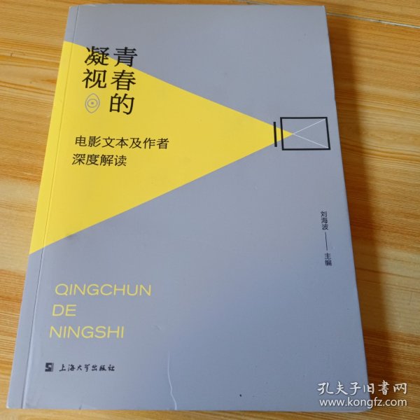 青春的凝视：电影文本及作者深度解读