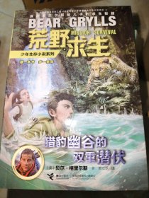 荒野求生少年生存小说系列：猎豹幽谷的双重潜伏