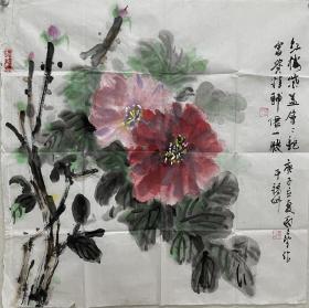 【终身保真字画】谢圣望   68X68cm！10
         福建人，师从著名画家郑乃珖先生。现为福建省美术家协会会员，中国郑乃珖艺术研究会闽都分会会长。作品参加加拿大“枫叶杯世界书画大展”并获奖。作品发表荣宝斋专刊09年专版介绍。入选河北美术出版社《中国名家技法研究丛书》花鸟篇、山水篇及新编花鸟画谱丛书。并出版《谢圣望画册》。