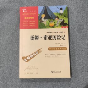 汤姆·索亚历险记（中小学课外阅读无障碍阅读）快乐读书吧六年级下册阅读 智慧熊图书