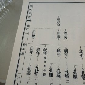 杨氏宗谱：上下卷（重裕堂）（河南商城）