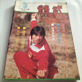 精武，中国功夫，技击，大成拳，推手，训练秘诀，三皇炮捶拳，拳经，空手道，套路，清真十趟弹腿，二郎拳技击法，九环子技击八手，蒋家短打，散打实战，贴身实战法，柔道，拿打摔跌，腿击术，醉拳，武坛名蒋，太师鞭