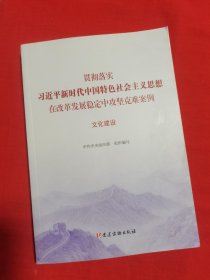 文化建设（贯彻落实习近平新时代中国特色社会主义思想在改革发展稳定中攻坚克难案例）