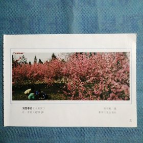 年画缩样散页：《满园春色》