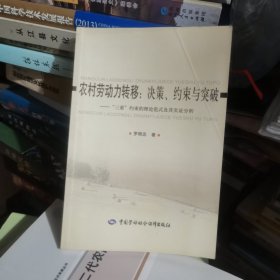 农村劳动力转移：决策、约束与突破:“三重”约束的理论范式及其实证分析