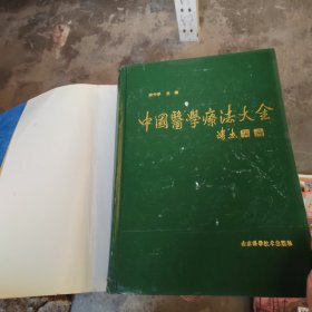 中国医学疗法大全