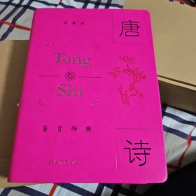 唐诗鉴赏辞典 典藏版