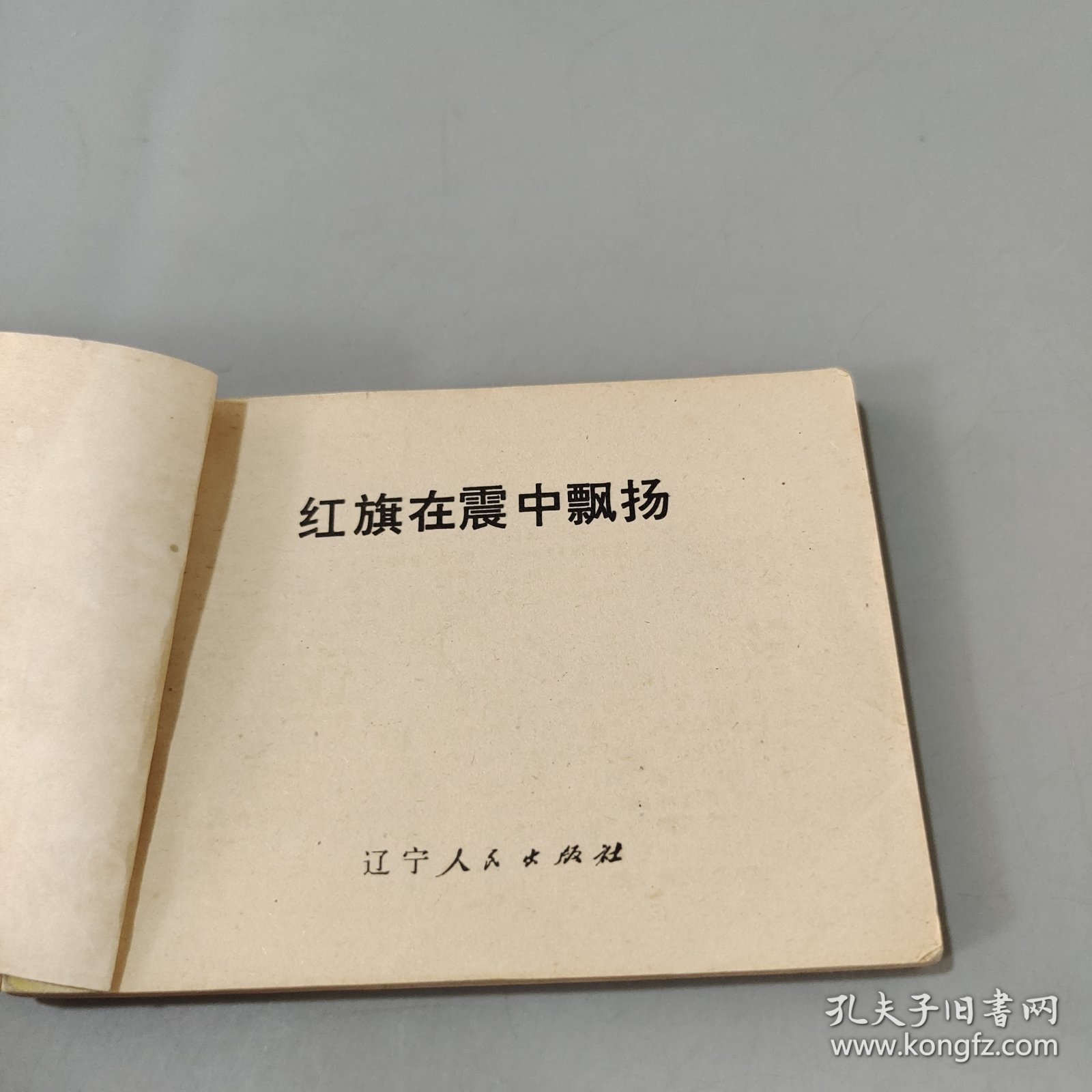 红旗在震中飘扬
