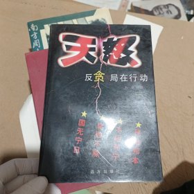 天怒：反贪局在行动