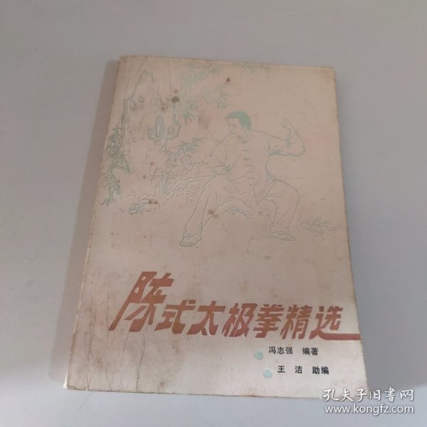 陈式太极拳精选