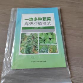 一地多种蔬菜高效种植模式